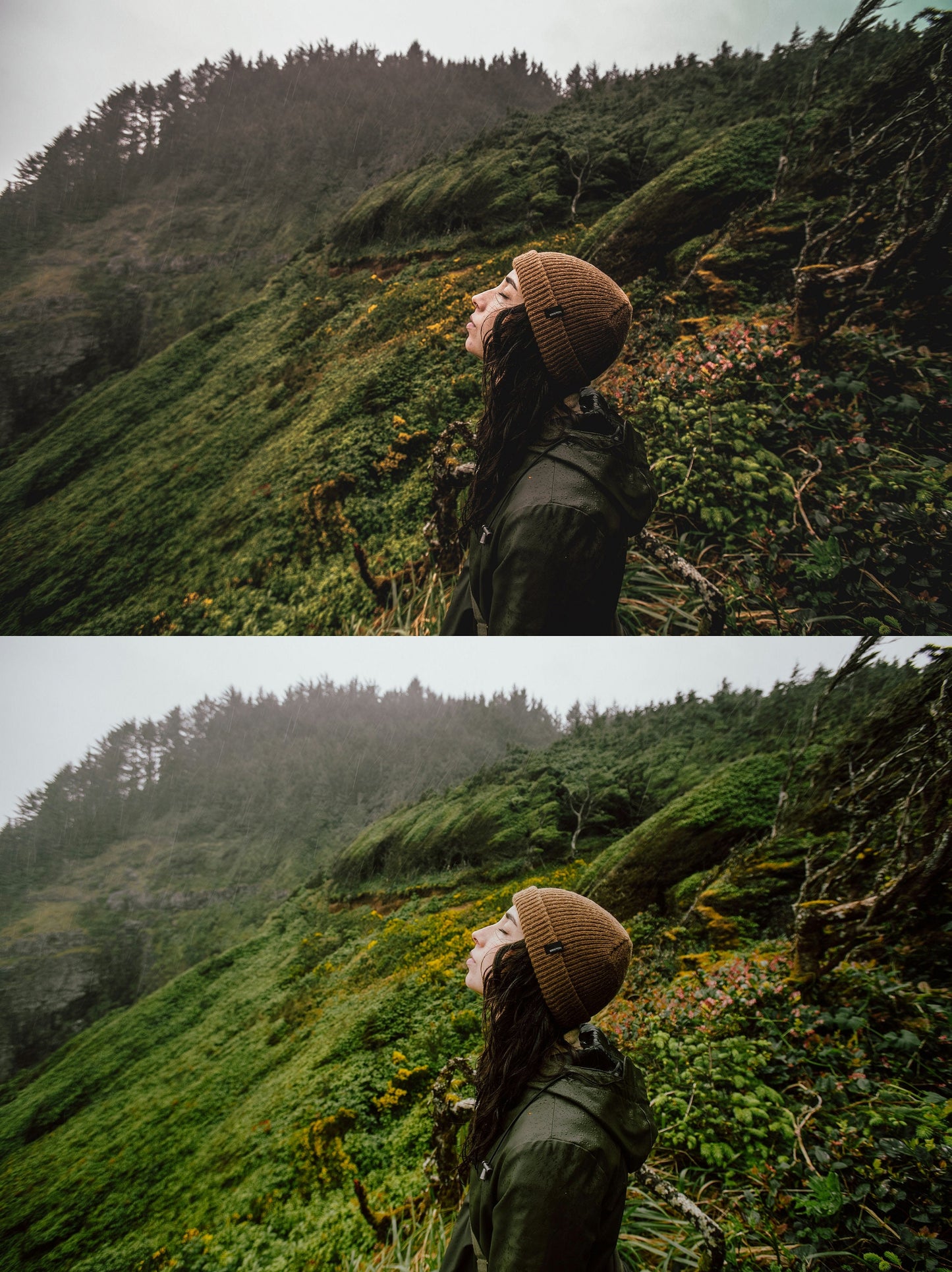 260 Cottage LIGHTROOM Presets, Lightroom MOBILE Desktop Preset, Travel Outdoor Preset , Nature Wanderlust Presets, Moody Presets, Outdoor