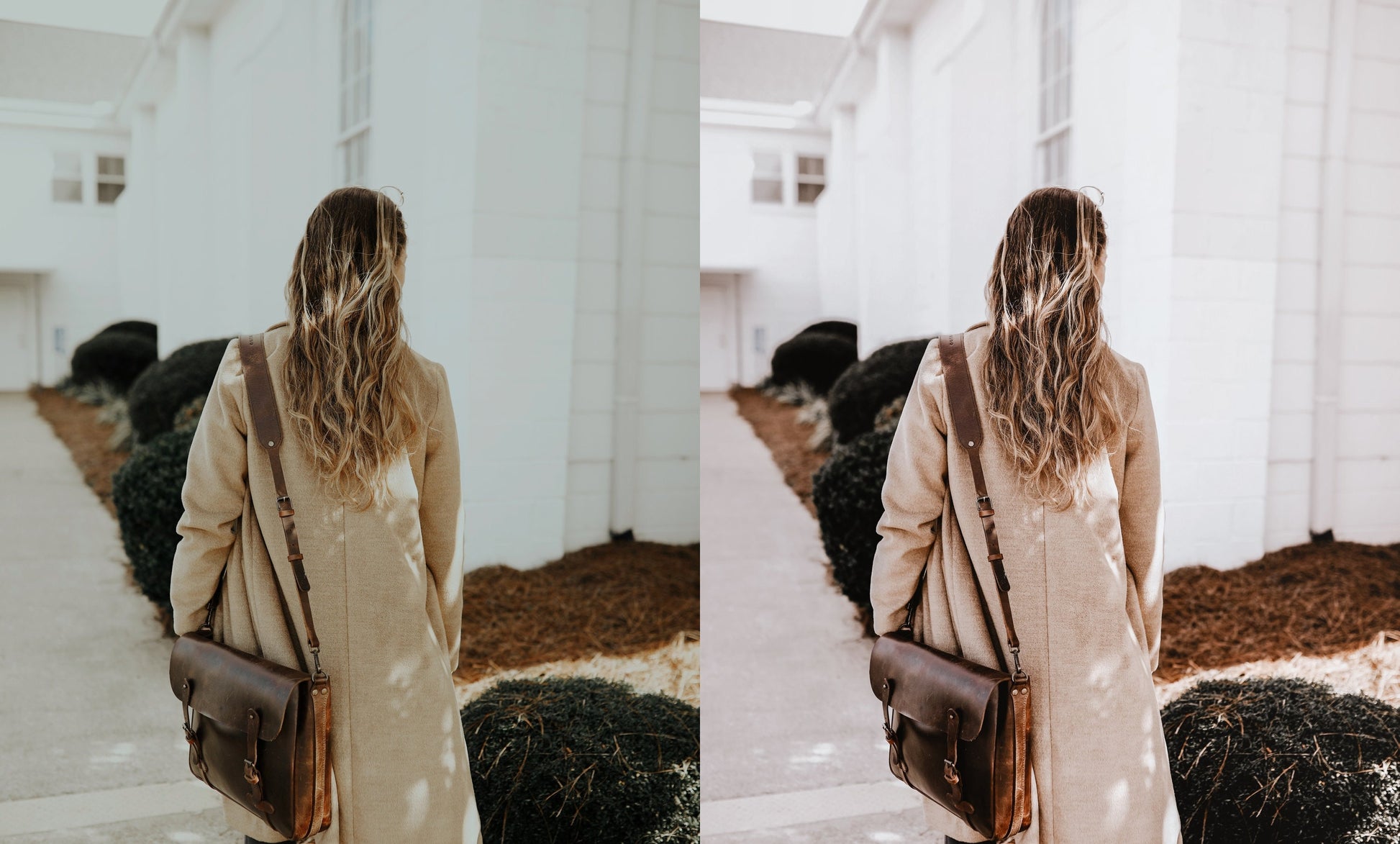 24 ELEGANT Presets, Lightroom Presets, Retro Vintage Presets, Creamy Presets, Aesthetic Presets, Mobile Presets Desktop Warm Classy Presets