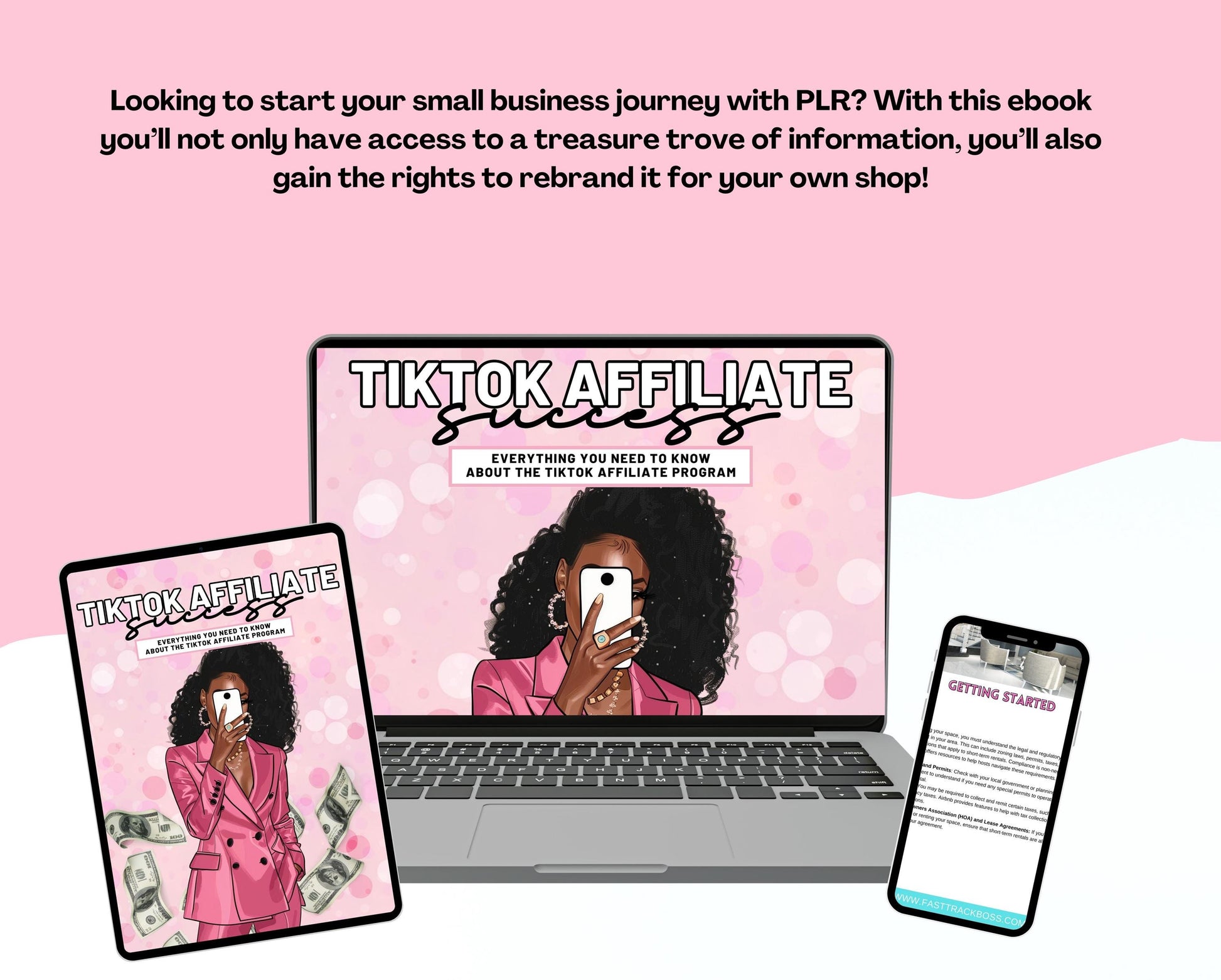Tiktok Affiliate Guide, Faceless Marketing Guide, Social Media Guide, Canva Guide, Girl Boss PLR Ebook, Done for You